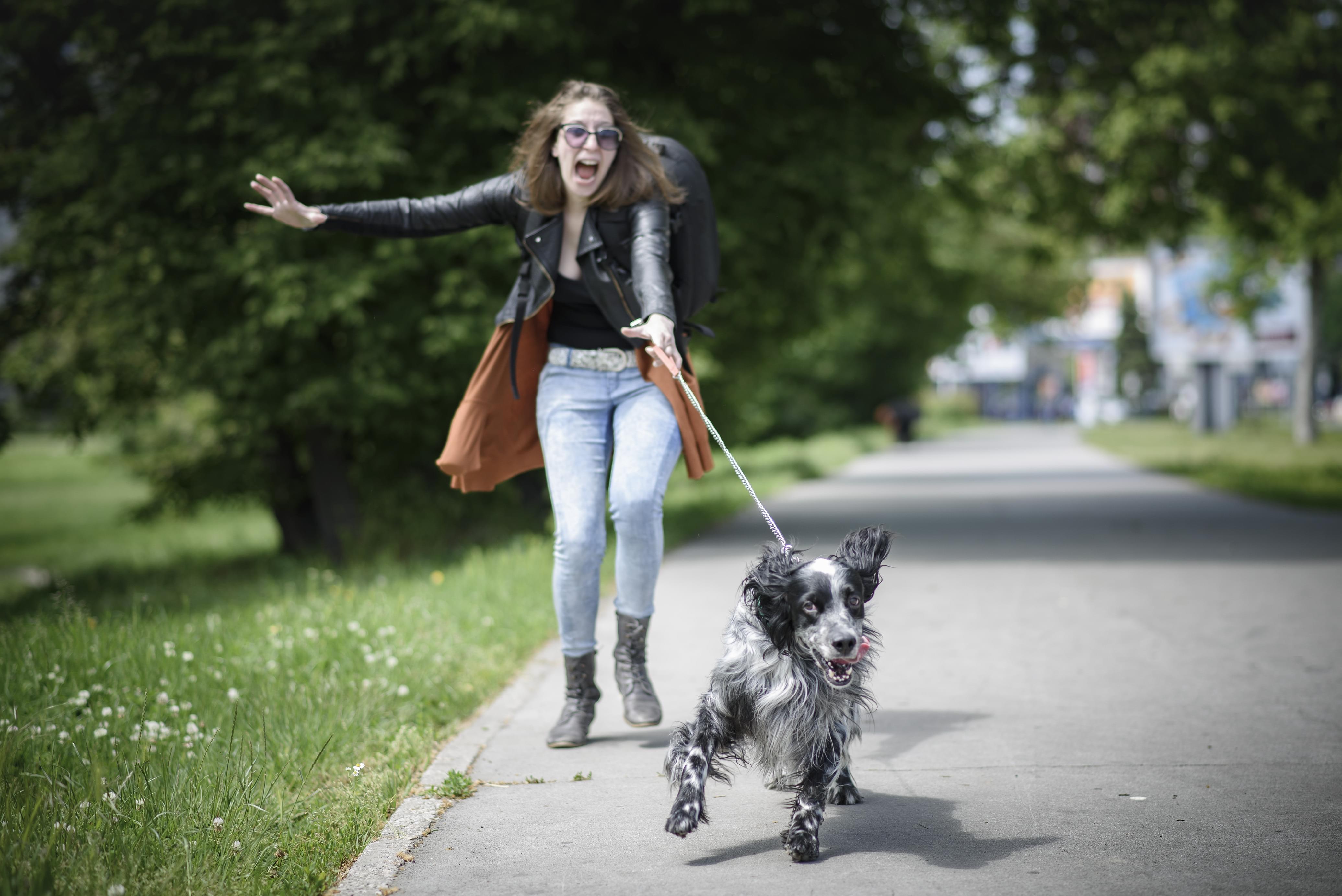 Девки гуляют на улице. Прогулка с собакой. Фотосессия прогулка с собакой. Собачка на прогулке. Человек гуляет с собакой.