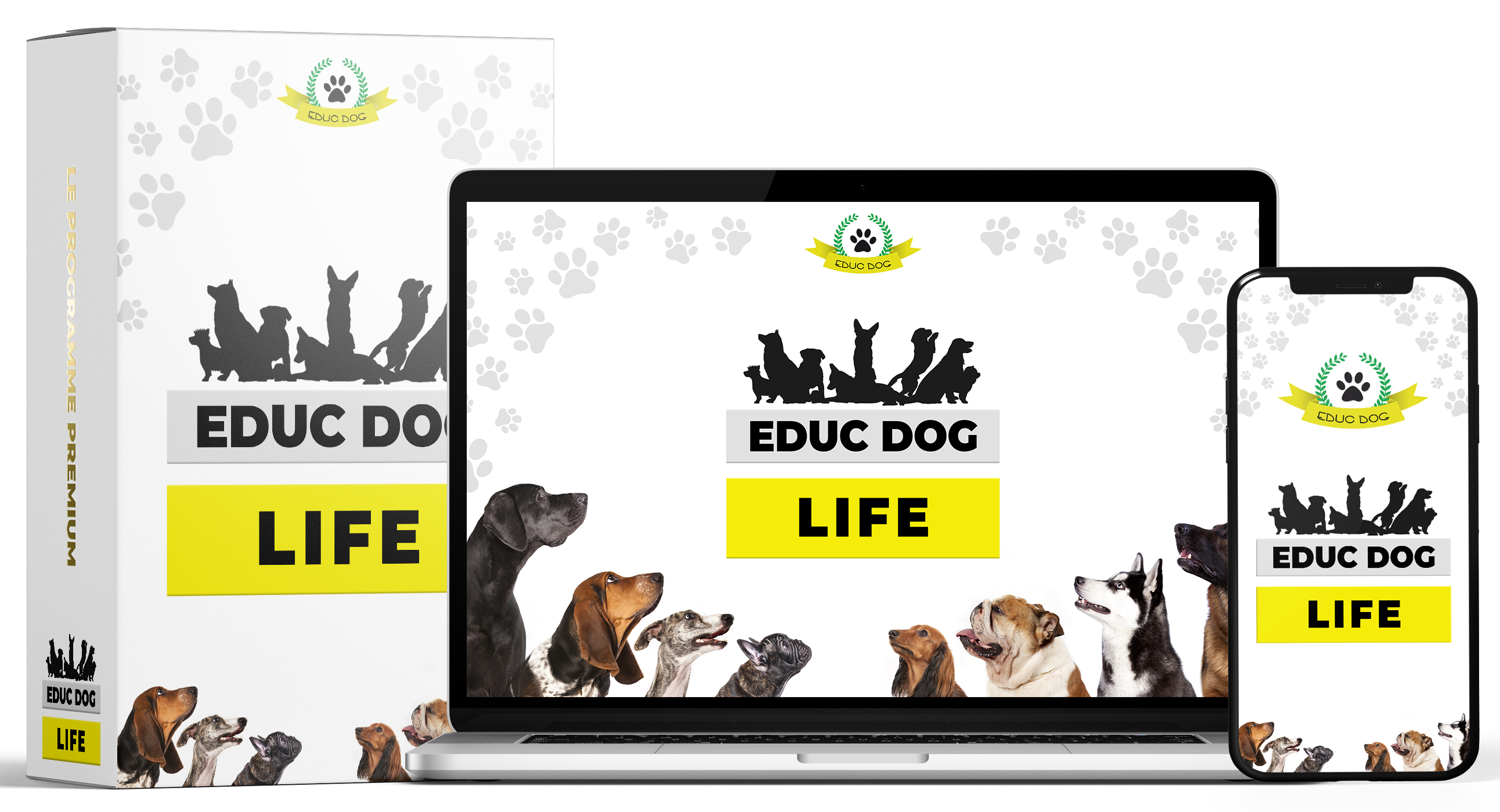 educ dog life